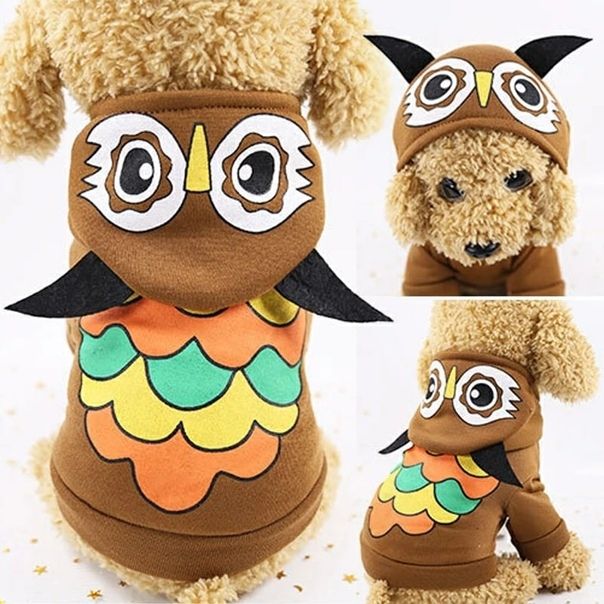 Сова Толстовка для собак на флісі XXL
