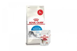 АКЦІЯ Royal Canin INDOOR для кішок у віці від 1 до 7 років набір корму 2 кг + 4 паучі 