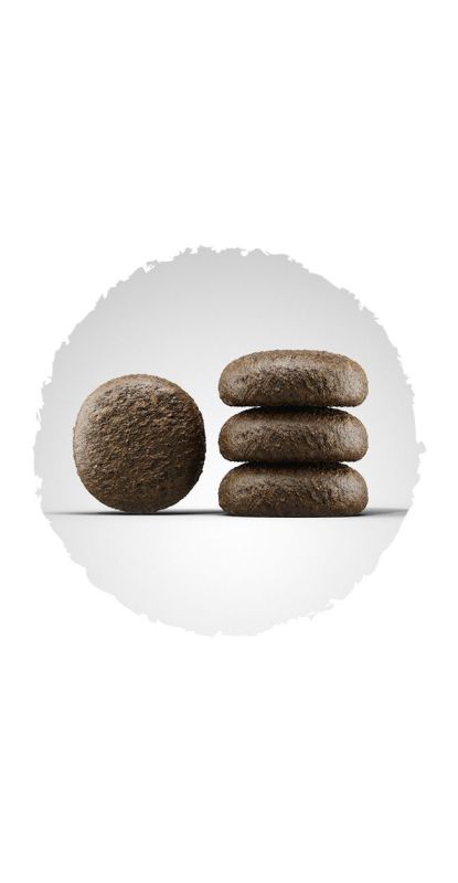 Josera Festival зі смачним соусом для вимогливих собак 4кг