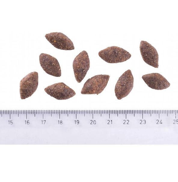 Brit Care Dog Sustainable Activity Корм для собак з підвищеною активністю з куркою та комахами 3 кг 