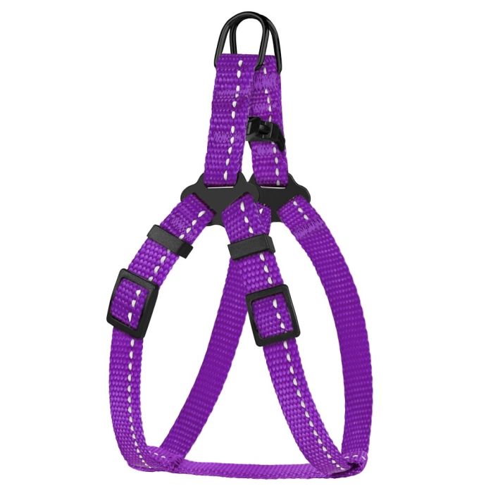Шлея для собак BronzeDog фіолетова пластиковий фастекс 1307 68Т 10мм (24-30см)