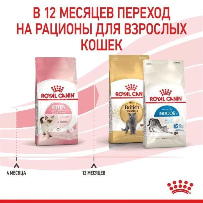 АКЦІЯ Royal Canin Kitten для кошенят на кожен день (до 12 місяців) набір корму 2 кг + 4 паучі 