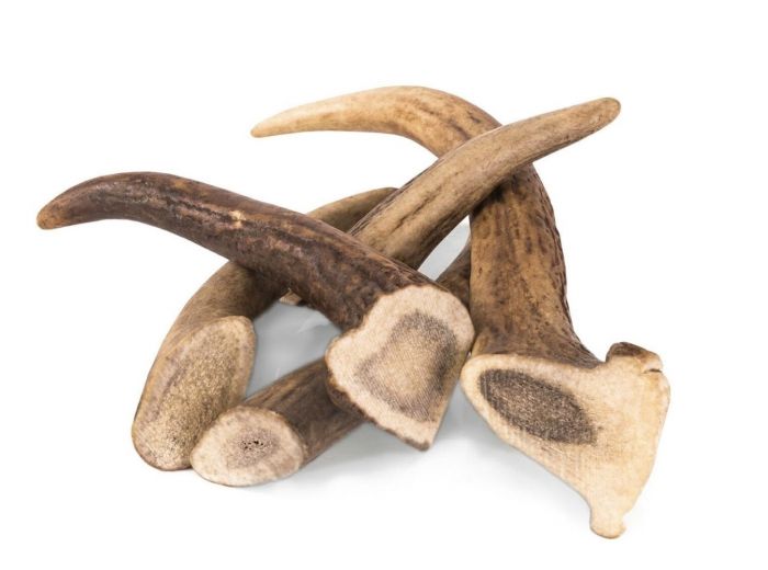 Ласощі для собак, оленячий ріг твердий XL, 16-20 см