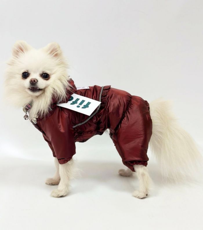 Комбінезон Принцеса на силіконі (дівчинка) XS