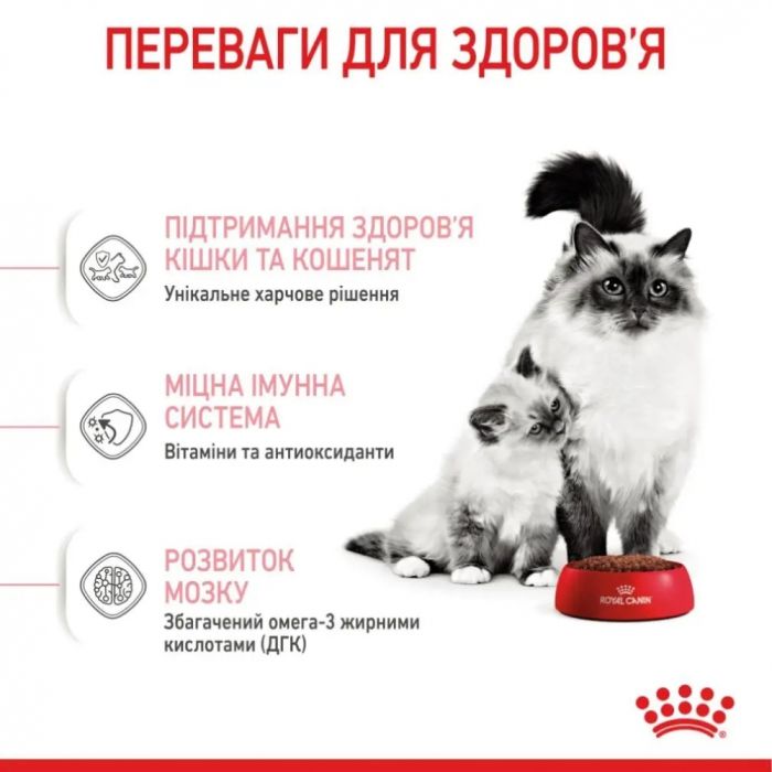 АКЦІЯ Royal Canin Babycat сухий корм для кошенят та вагітних кішок 8+2 кг 