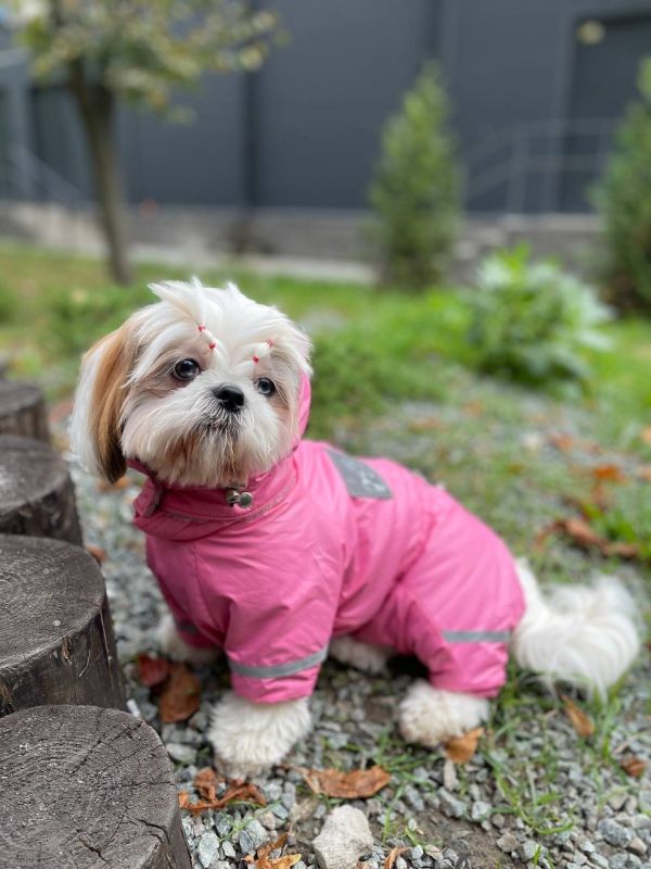 Єдність комбінезон велсофт без силікону для собак дівчаток L1