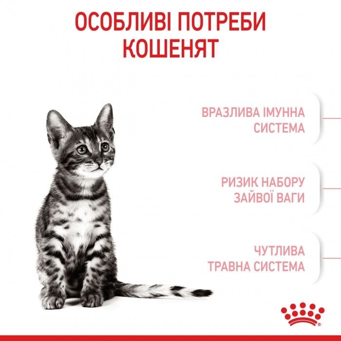 АКЦІЯ Royal Canin KITTEN STERILISED для стерилізованих кошенят набір корму 2 кг + 4 паучі 
