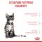 АКЦІЯ Royal Canin KITTEN STERILISED для стерилізованих кошенят набір корму 2 кг + 4 паучі 