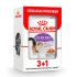 Royal Canin STERILISED JELLY для стерилізованих кішок і кастрованих котів в желе Акція 3+1 шт