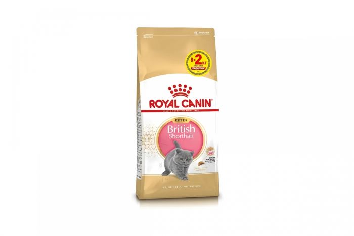 АКЦІЯ Royal Canin British Shorthair Kitten сухий корм для британських короткошерстих кошенят 8+2 кг 