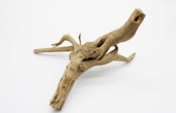 Декорація корінь азалія для акваріума. 1200-1400 гр.