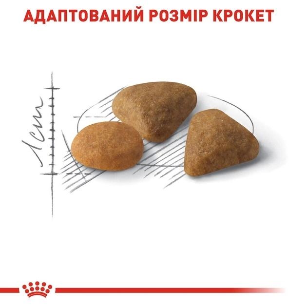АКЦІЯ Royal Canin Exigent Savour сухий корм для котів, вибагливих до складу продукту 8+2 кг 