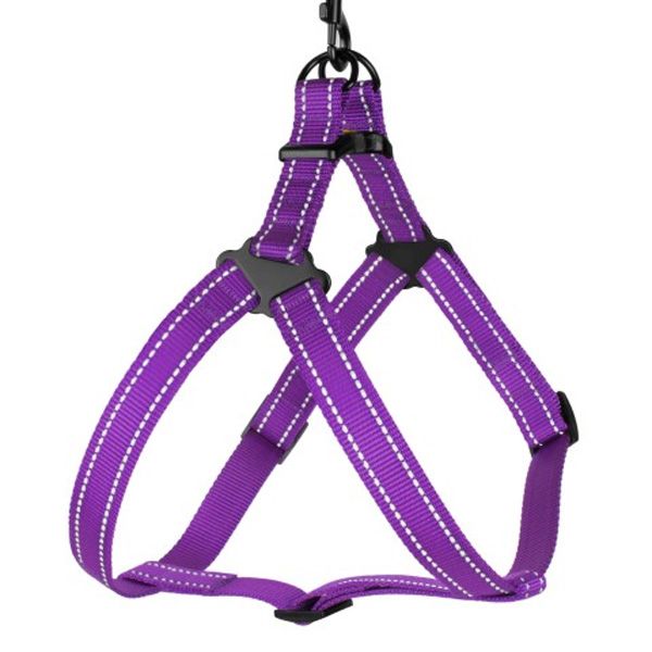 Шлея капронова світловідбиваюча фіолетова 20мм (45-56см