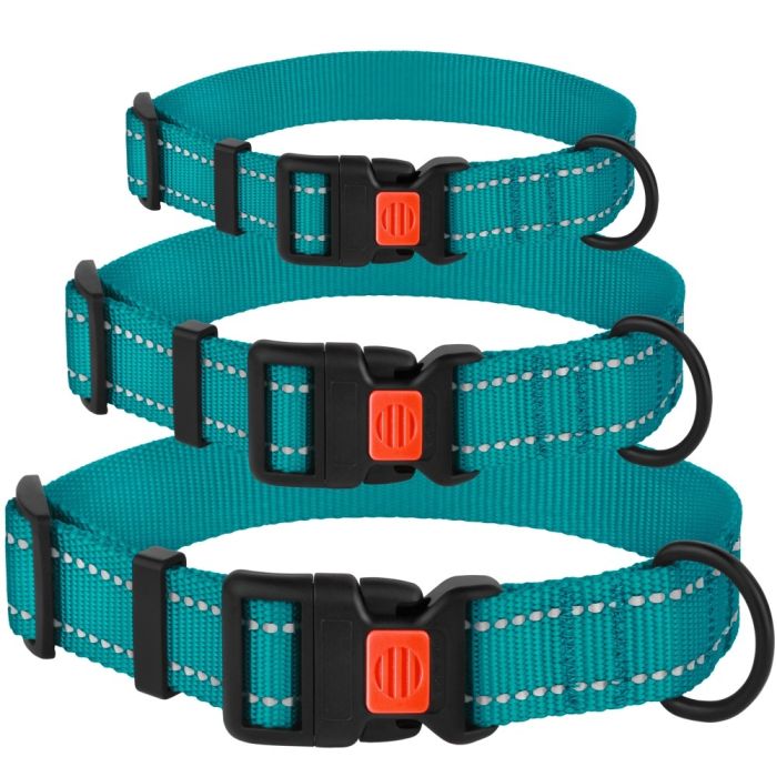 Ошейник для собак BronzeDog бирюза пластиковий фастекс 1225 50Т 25мм (43-66см)