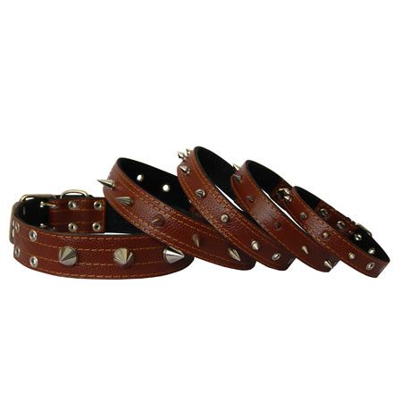 Нашийник для собак з шипами, коричневий 44-60 см