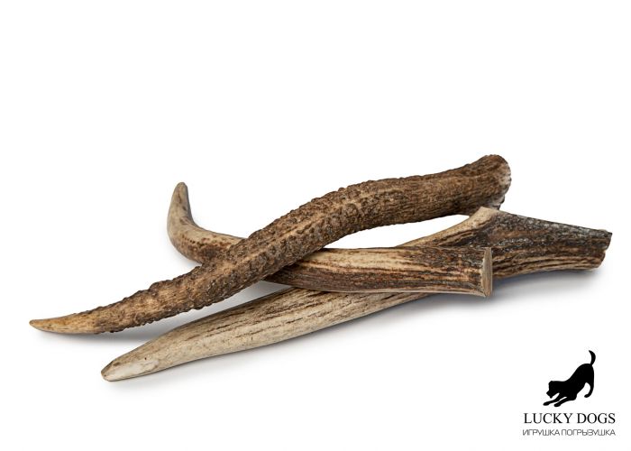 Ріг оленя Lucky Dogs твердий M