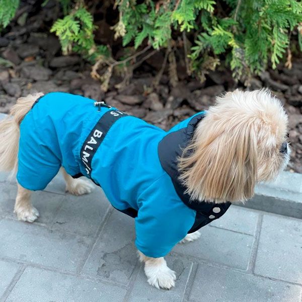 Комбінезон Бальман велсофт (хлопчик) M