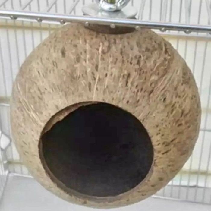 Кокос-гніздо нечищене для птахів 