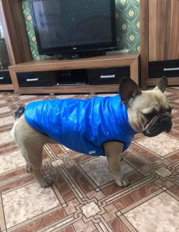 Сідней жилет для собак Dog Love двосторонній синьо-Бірюзовий S2