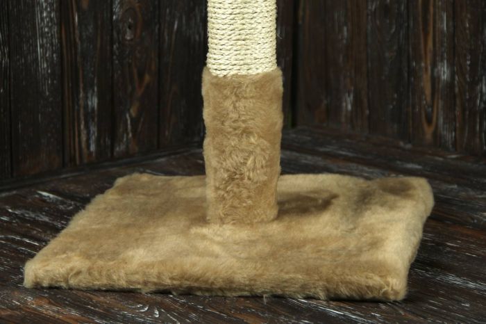 Когтеточка Гном, сизаль зелений