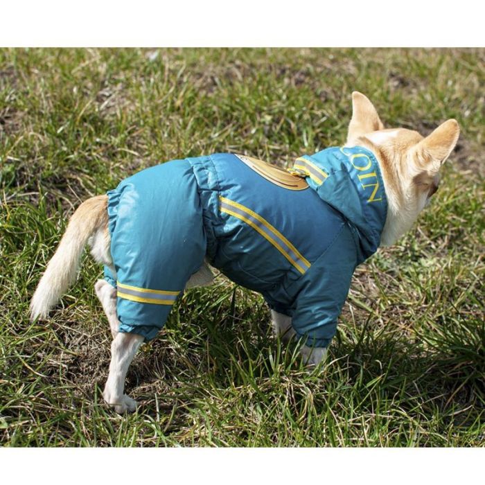 Комбінезон для собак хлопчиків на силіконі XS
