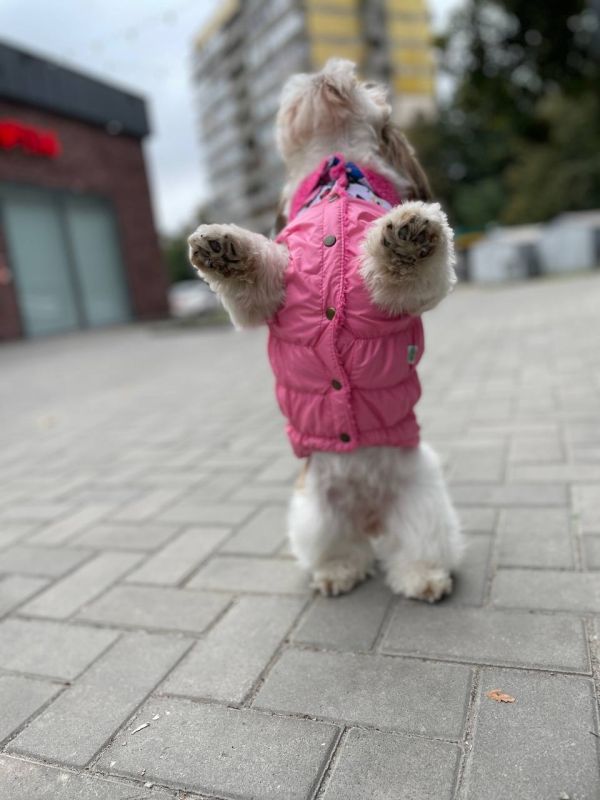 Марго жилет на овчині для собак дівчаток S2