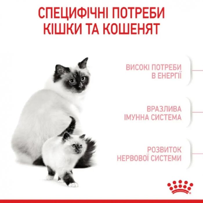 АКЦІЯ Royal Canin Babycat сухий корм для кошенят та вагітних кішок 8+2 кг 