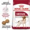 АКЦІЯ Royal Canin Medium Adult Сухий корм для собак свійський птах 15+3 кг 