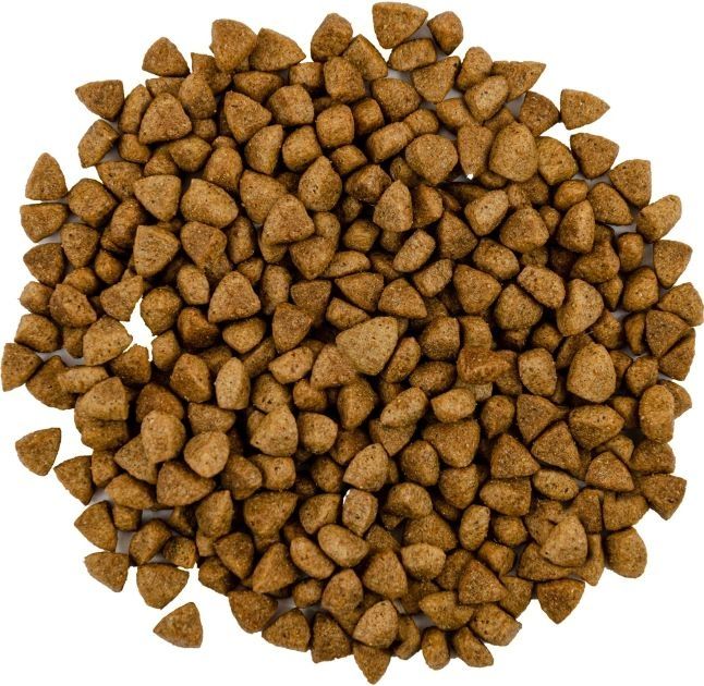 Savory Adult Cat Сухий корм для кастрованих котів зі свіжим мясом ягняти і куркою 8 кг