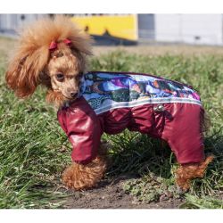 Комбінезон для собак хлопчиків мікс без капюшона на силіконі XS