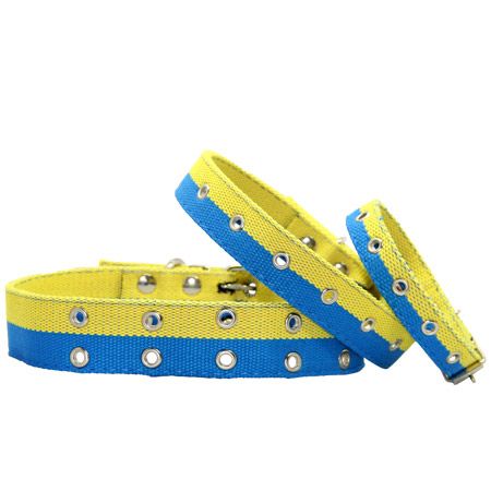 Нашийник економ брезент подвійний безрозмірний патріот 30 мм