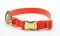 Нашийник Franty Сяйво біотан 25 мм  30-51 см. Помаранчевий