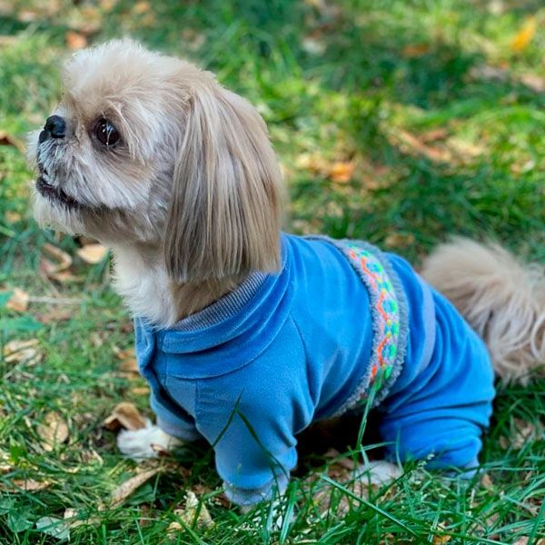 Комбінезон Колорит велюр (хлопчик) S