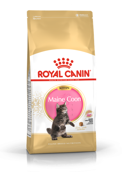 Royal Canin Kitten Maincoon для кошенят Мейн-кун від 4-15 міс 4 кг