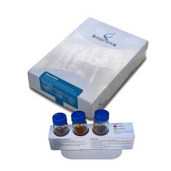 Дермакіт набір 12 живильне середовище для дерматофітів 