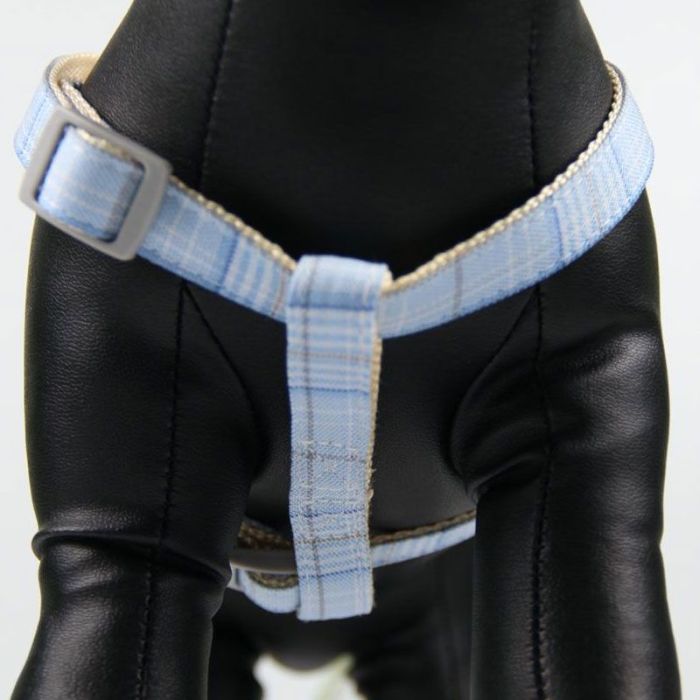 Шлея з повідцем рибка 1,5 х120 см клітинка Трояндовий