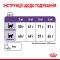 АКЦІЯ Royal Canin Appetite Control набір корму для стерилізованих котів 2 кг + 4 паучі 