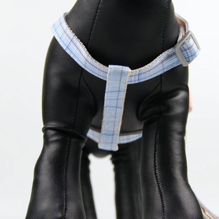 Комплект Собачки, шлея с поводком для щенков и мелких собак голубая Обєм грудей 24-38 см