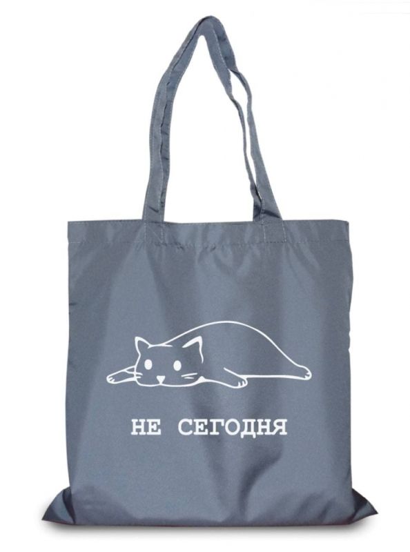 Екосумка кіт не сьогодні 35х41 см сіра 