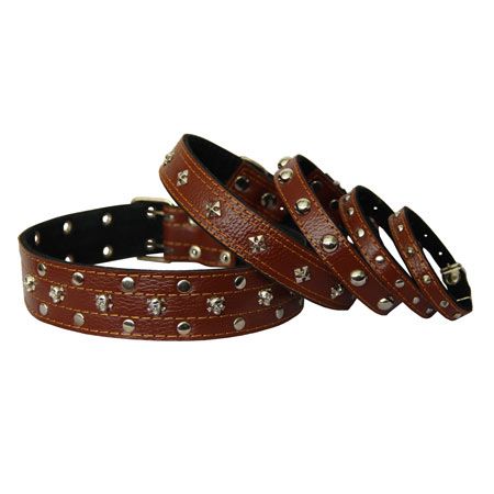 Нашийник для собак Шкіряний з прикрасами, коричневий 37-51 см