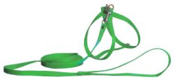 Шлея вісімка з повідцем капрон 20-40см, 32-40см довжина повідця 130см Зелений