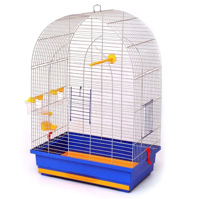 Клітка для птахів Люсі фарба, Лорі 