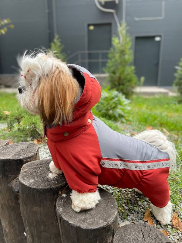 Сонечко комбінезон для собак дівчаток на силіконі S