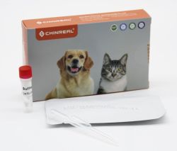 Тест RapidVet-H Feline для котів для визначення групи крові 