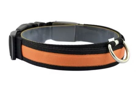 Нашийник USB нейлон Білий S 2,5 см. 34-41 см. Помаранчевий