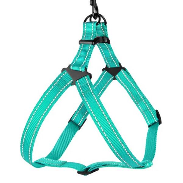 Шлея капронова світловідбиваюча колір ментол ширина 25мм  Обхват грудей 58-71см