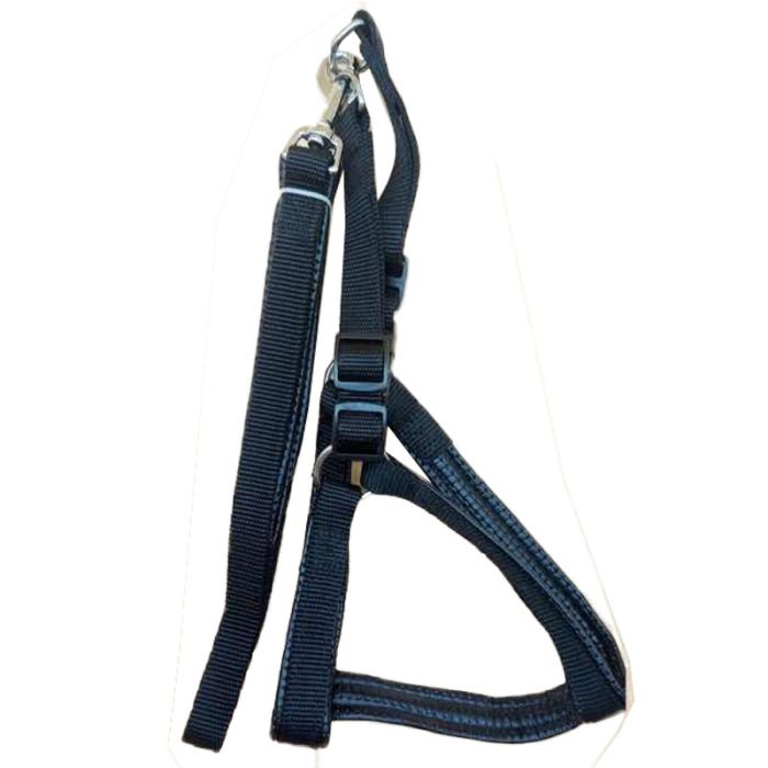 Шлея з повідцем для собак 2см (44-50) 120см нейлон LH-253-20 
