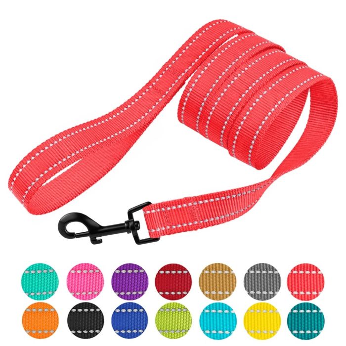 Повідець для собак BronzeDog 10мм-152см кораловий 1224 59т 