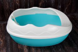 Туалет для кішок з високим бортом + лопатка 52х38х20 см Бірюзовий