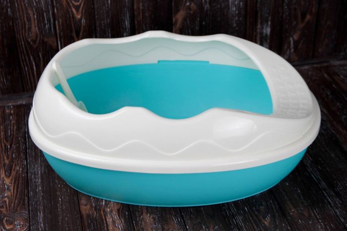 Туалет для кішок з високим бортом + лопатка 52х38х20 см Бірюзовий